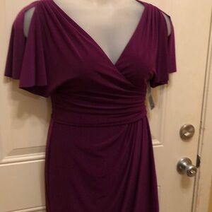 Chaps dress beach berry